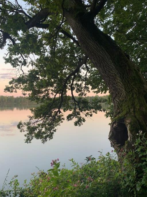Prijemna Chaloupka Na Trebonsku Villa Chlum u Trebone Dış mekan fotoğraf