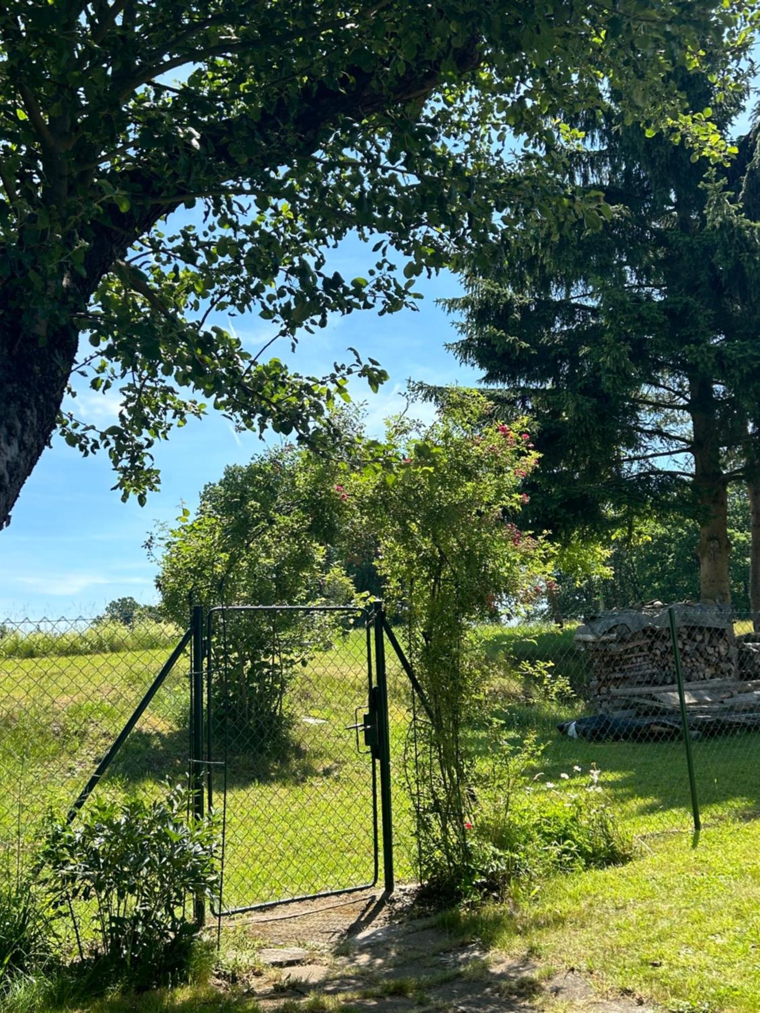 Prijemna Chaloupka Na Trebonsku Villa Chlum u Trebone Dış mekan fotoğraf